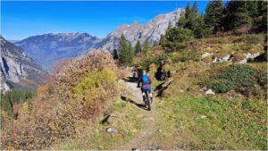 Artikel Biketour Bonistock