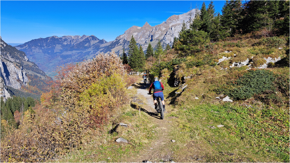 Artikel Biketour Bonistock