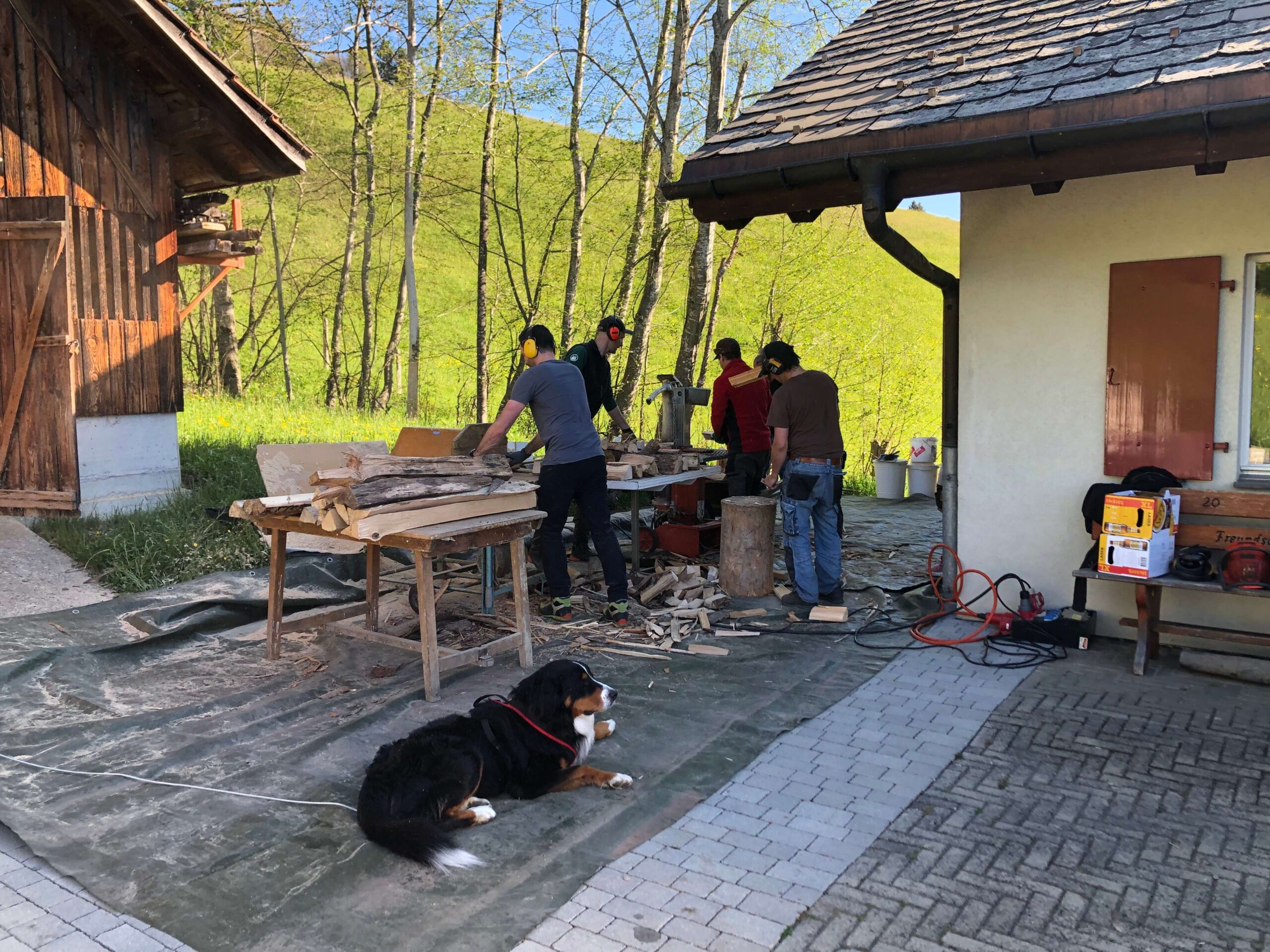 Artikel Skihütte putzen und holzen
